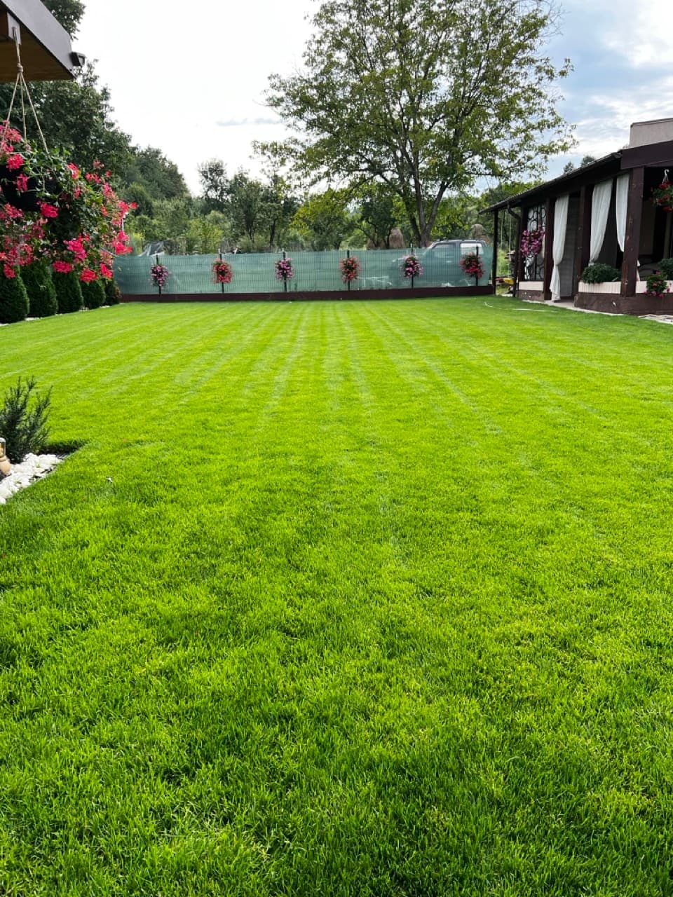 Amenajare spații verzi