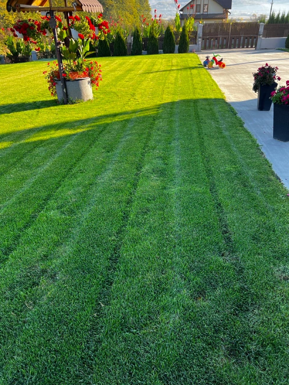 Servicii de întreținere sezonieră