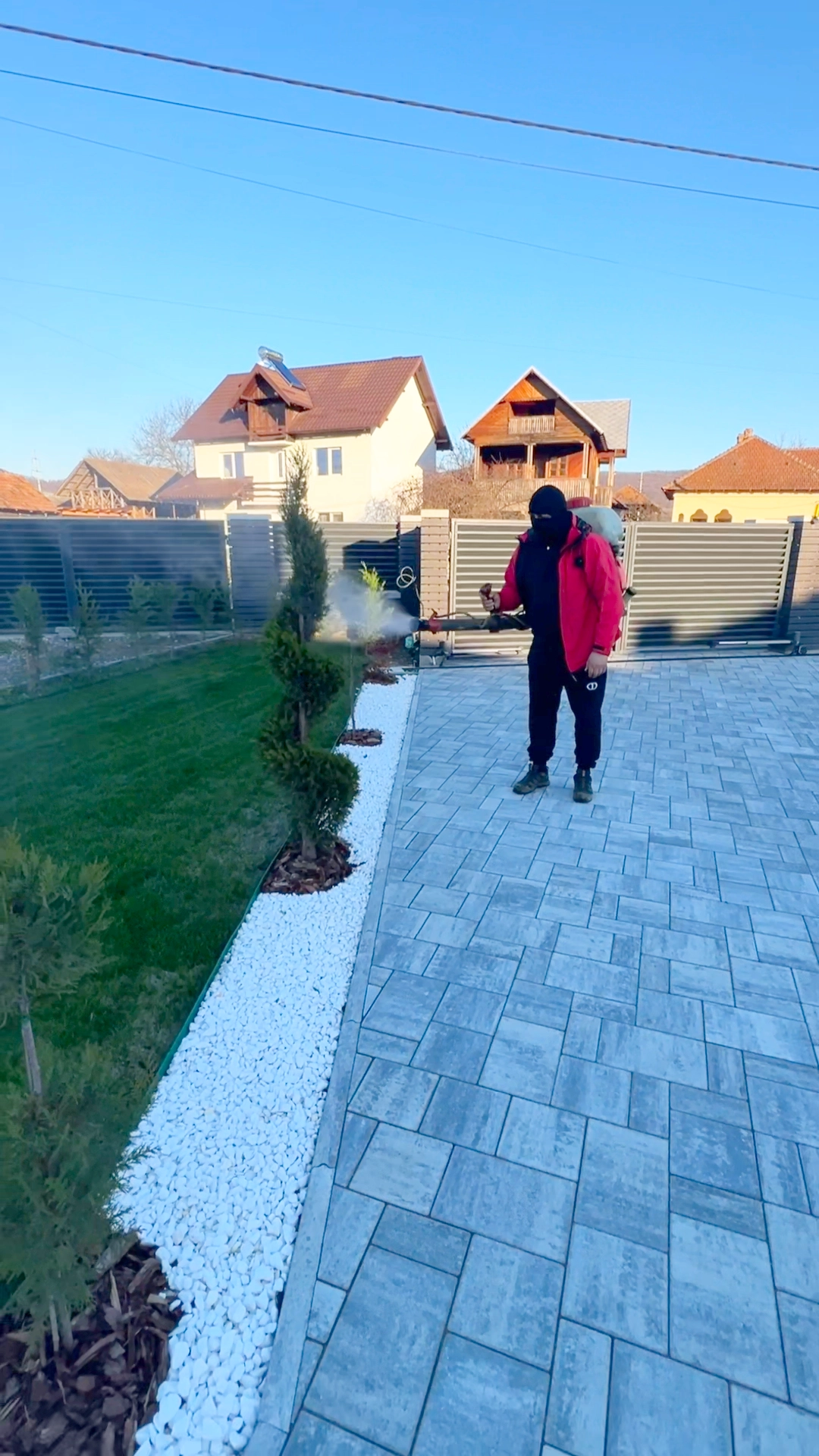 Expert Landscape Designer